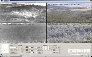 林业生态安全物联网技术 重庆的创新突破与前景展望